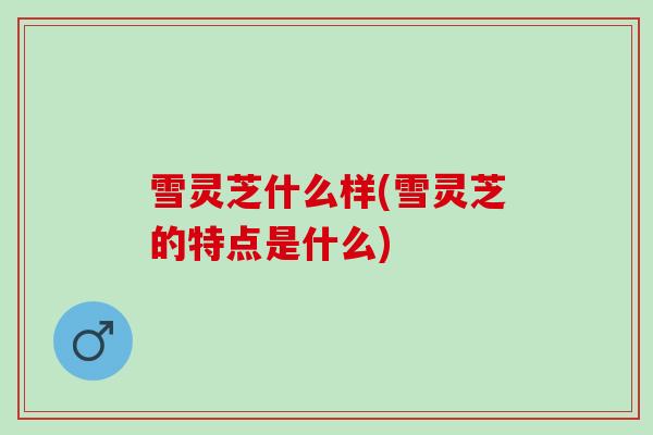雪灵芝什么样(雪灵芝的特点是什么)