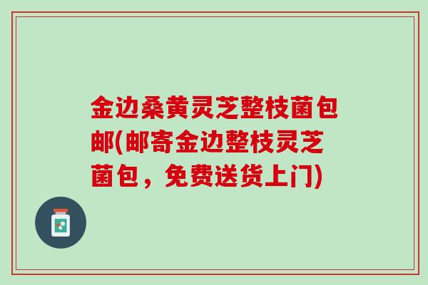 金边桑黄灵芝整枝菌包邮(邮寄金边整枝灵芝菌包，免费送货上门)