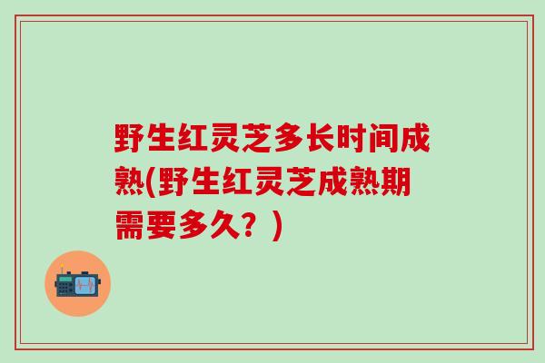 野生红灵芝多长时间成熟(野生红灵芝成熟期需要多久？)