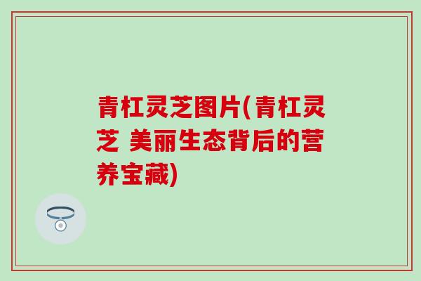 青杠灵芝图片(青杠灵芝 美丽生态背后的营养宝藏)