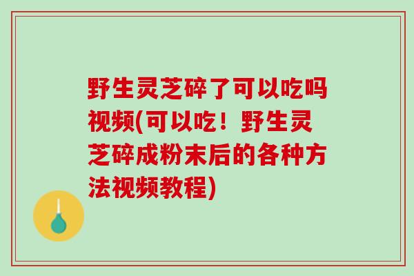 野生灵芝碎了可以吃吗视频(可以吃！野生灵芝碎成粉末后的各种方法视频教程)