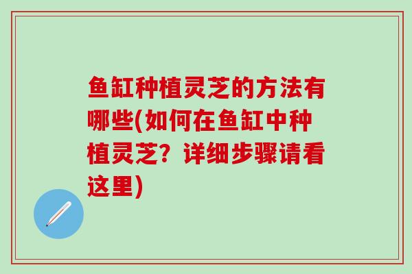 鱼缸种植灵芝的方法有哪些(如何在鱼缸中种植灵芝？详细步骤请看这里)