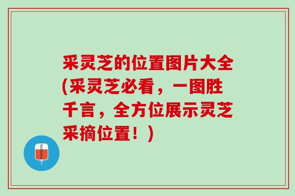采灵芝的位置图片大全(采灵芝必看，一图胜千言，全方位展示灵芝采摘位置！)