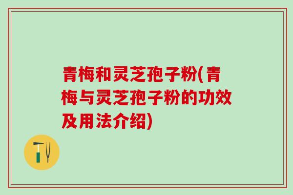青梅和灵芝孢子粉(青梅与灵芝孢子粉的功效及用法介绍)