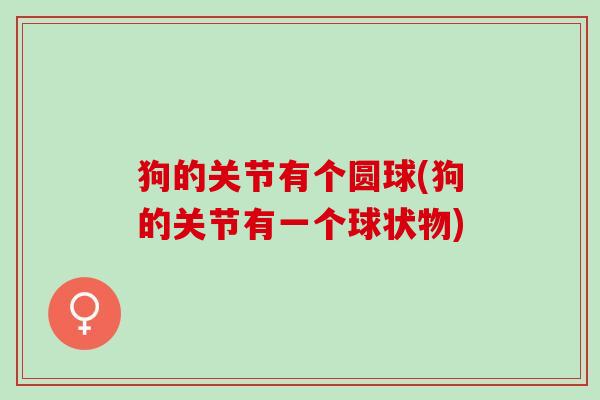 狗的关节有个圆球(狗的关节有一个球状物)