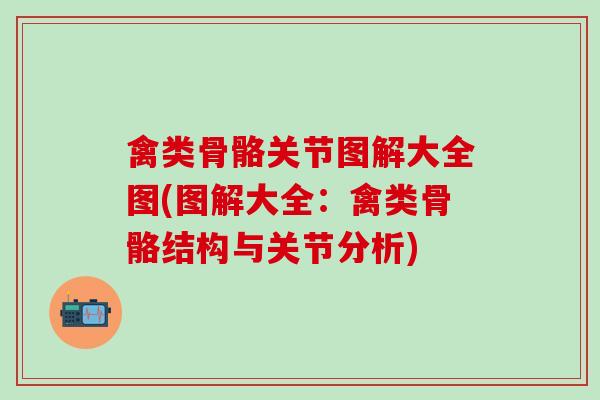 禽类骨骼关节图解大全图(图解大全：禽类骨骼结构与关节分析)