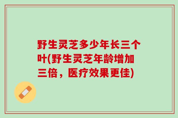 野生灵芝多少年长三个叶(野生灵芝年龄增加三倍，医疗效果更佳)