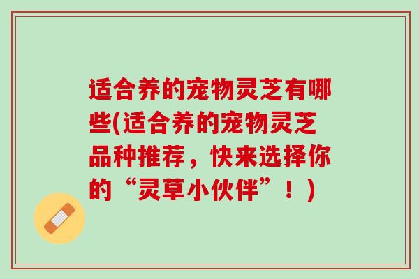 适合养的宠物灵芝有哪些(适合养的宠物灵芝品种推荐，快来选择你的“灵草小伙伴”！)