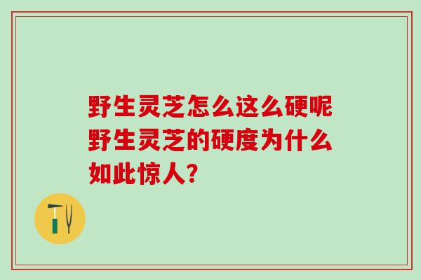 野生灵芝怎么这么硬呢野生灵芝的硬度为什么如此惊人？
