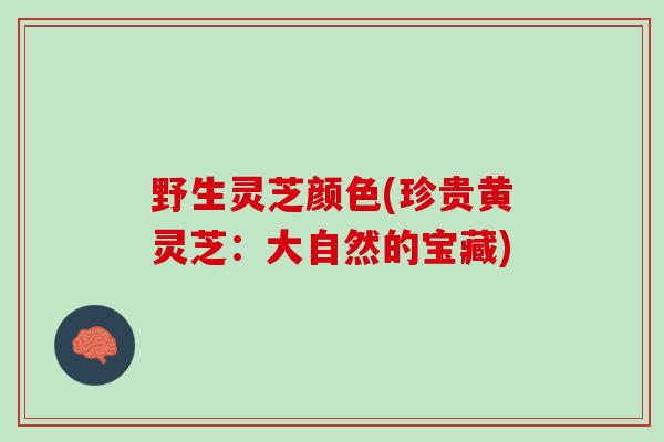 野生灵芝颜色(珍贵黄灵芝：大自然的宝藏)