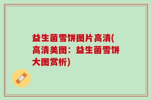 益生菌雪饼图片高清(高清美图：益生菌雪饼大图赏析)