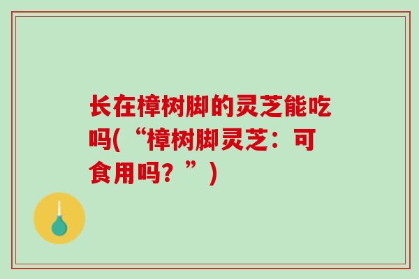 长在樟树脚的灵芝能吃吗(“樟树脚灵芝：可食用吗？”)