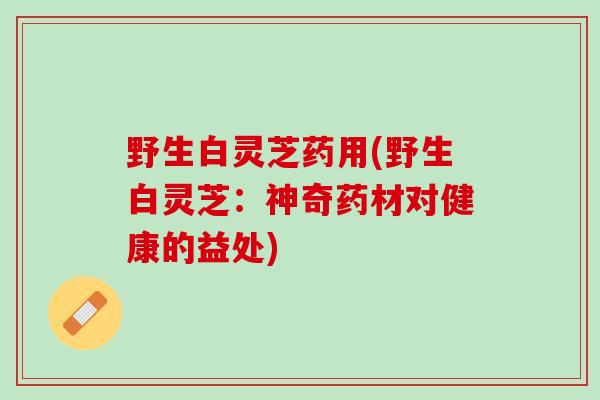 野生白灵芝药用(野生白灵芝：神奇药材对健康的益处)