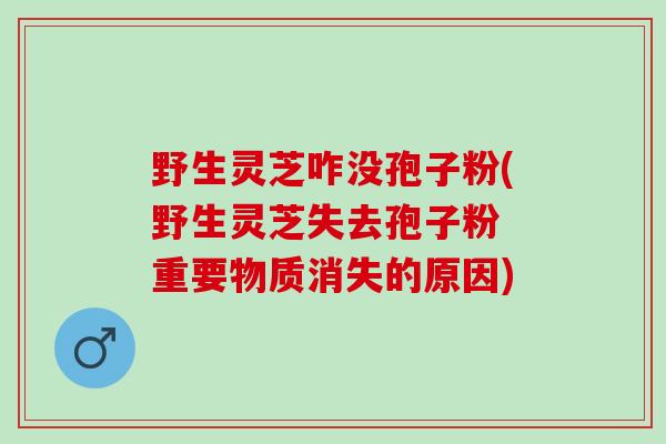 野生灵芝咋没孢子粉(野生灵芝失去孢子粉 重要物质消失的原因)