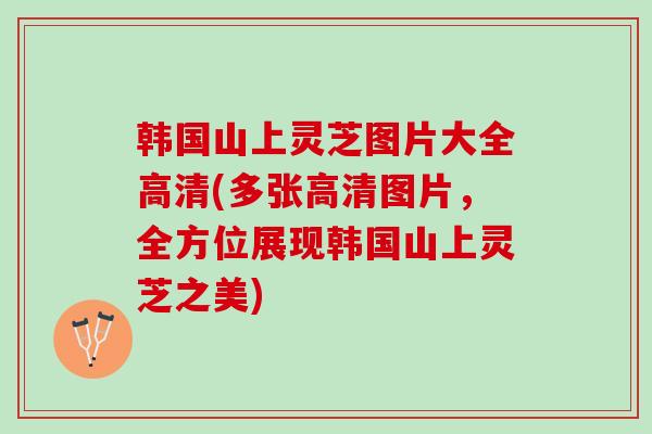 韩国山上灵芝图片大全高清(多张高清图片，全方位展现韩国山上灵芝之美)