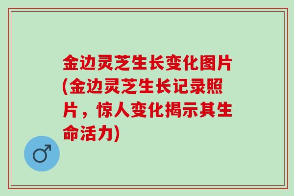 金边灵芝生长变化图片(金边灵芝生长记录照片,惊人变化揭示其生命活力) 金边灵芝生长变化图片(金边灵芝生长记录照片,惊人变化揭示其生命活力)