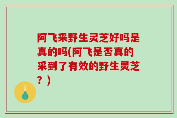 阿飞采野生灵芝好吗是真的吗(阿飞是否真的采到了有效的野生灵芝？)