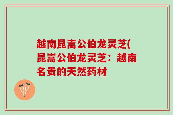 越南昆嵩公伯龙灵芝(昆嵩公伯龙灵芝：越南名贵的天然药材