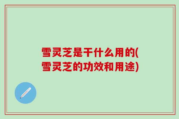雪灵芝是干什么用的(雪灵芝的功效和用途)