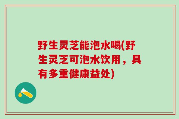 野生灵芝能泡水喝(野生灵芝可泡水饮用，具有多重健康益处)