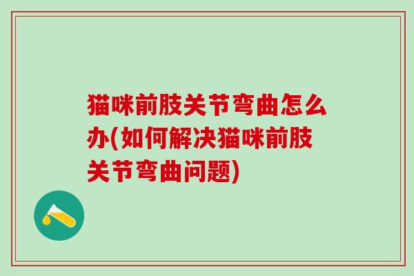 猫咪前肢关节弯曲怎么办(如何解决猫咪前肢关节弯曲问题)