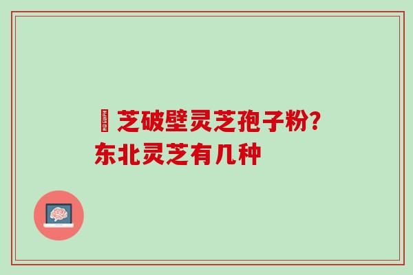 雲芝破壁灵芝孢子粉？东北灵芝有几种