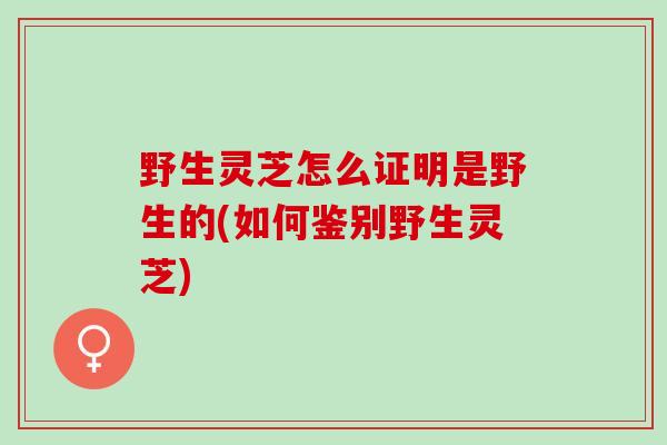 野生灵芝怎么证明是野生的(如何鉴别野生灵芝)