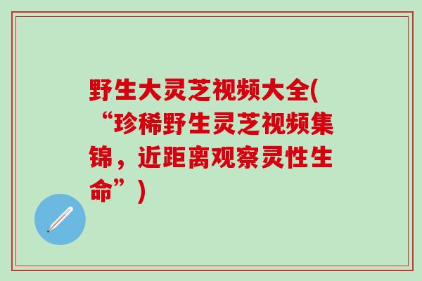 野生大灵芝视频大全(“珍稀野生灵芝视频集锦，近距离观察灵性生命”)