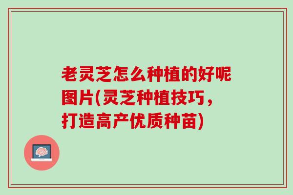 老灵芝怎么种植的好呢图片(灵芝种植技巧，打造高产优质种苗)