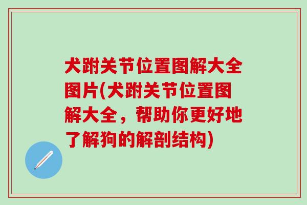 犬跗关节位置图解大全图片(犬跗关节位置图解大全，帮助你更好地了解狗的解剖结构)