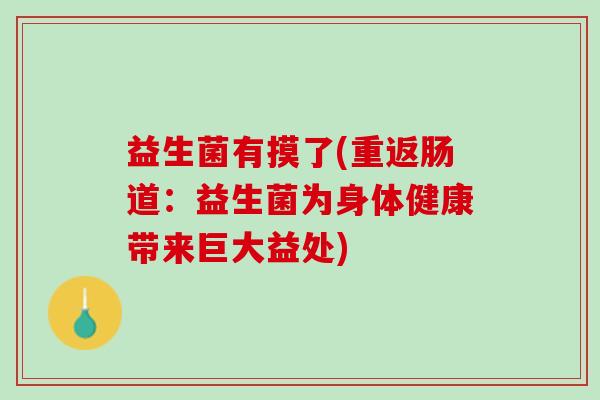 益生菌有摸了(重返肠道：益生菌为身体健康带来巨大益处)