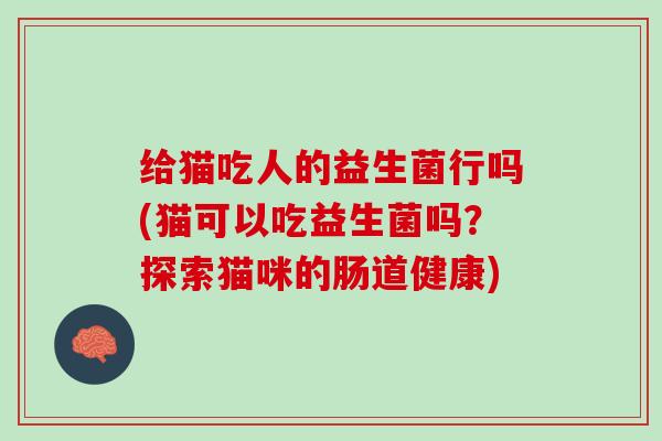 给猫吃人的益生菌行吗(猫可以吃益生菌吗？探索猫咪的肠道健康)