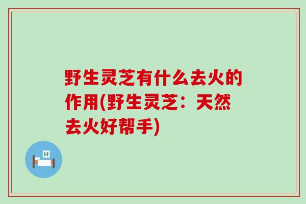 野生灵芝有什么去火的作用(野生灵芝：天然去火好帮手)