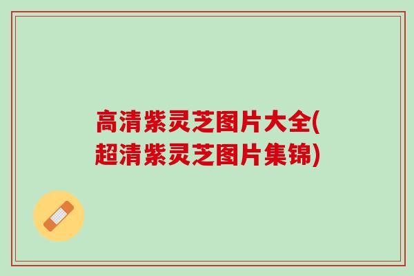 高清紫灵芝图片大全(超清紫灵芝图片集锦)