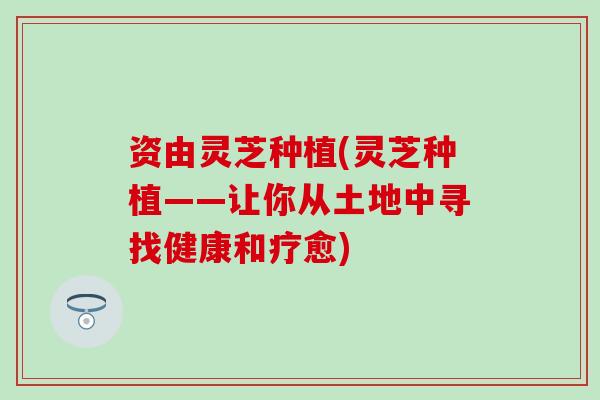 资由灵芝种植(灵芝种植——让你从土地中寻找健康和疗愈)