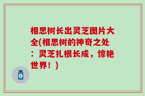 相思树长出灵芝图片大全(相思树的神奇之处：灵芝扎根长成，惊艳世界！)