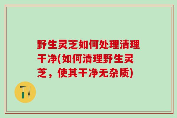 野生灵芝如何处理清理干净(如何清理野生灵芝，使其干净无杂质)