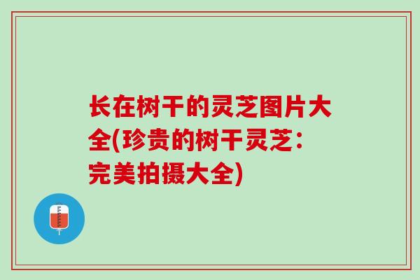 长在树干的灵芝图片大全(珍贵的树干灵芝：完美拍摄大全)