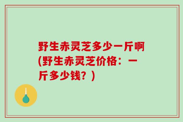 野生赤灵芝多少一斤啊(野生赤灵芝价格:一斤多少钱?) 野生赤灵芝多少一斤啊(野生赤灵芝价格:一斤多少钱?)