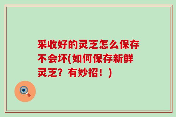 采收好的灵芝怎么保存不会坏(如何保存新鲜灵芝？有妙招！)