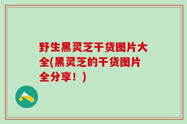 野生黑灵芝干货图片大全(黑灵芝的干货图片全分享！)