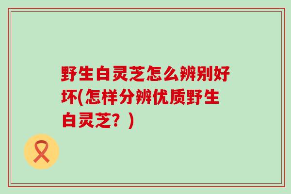 野生白灵芝怎么辨别好坏(怎样分辨优质野生白灵芝？)