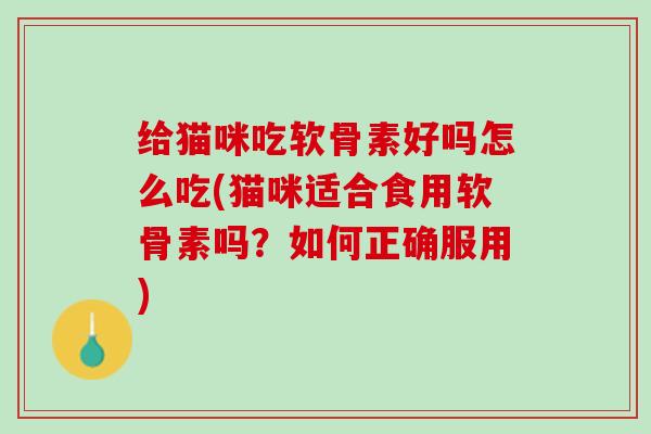 给猫咪吃软骨素好吗怎么吃(猫咪适合食用软骨素吗？如何正确服用)