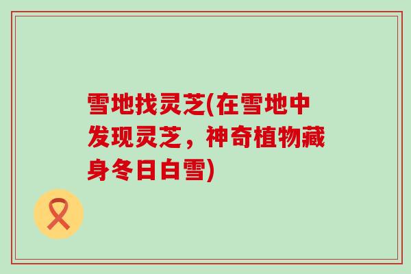 雪地找灵芝(在雪地中发现灵芝，神奇植物藏身冬日白雪)