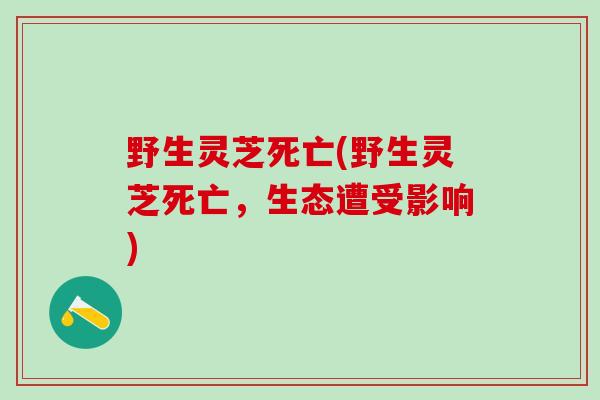 野生灵芝死亡(野生灵芝死亡，生态遭受影响)