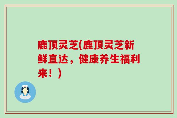 鹿顶灵芝(鹿顶灵芝新鲜直达，健康养生福利来！)