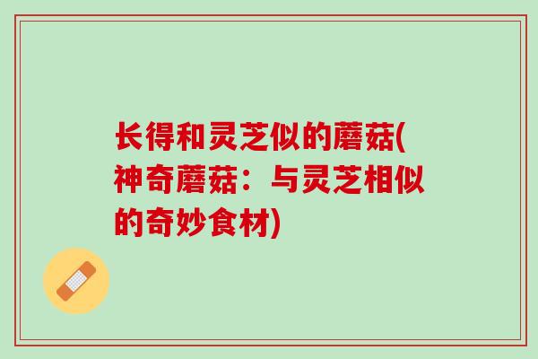 长得和灵芝似的蘑菇(神奇蘑菇：与灵芝相似的奇妙食材)