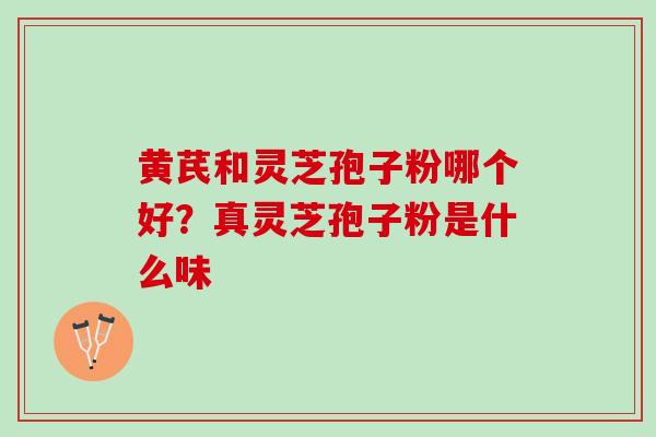 黄芪和灵芝孢子粉哪个好？真灵芝孢子粉是什么味