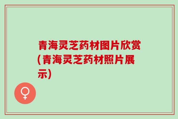 青海灵芝药材图片欣赏(青海灵芝药材照片展示)