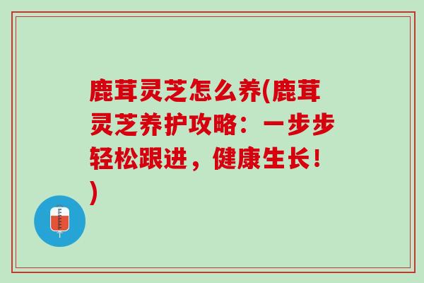 鹿茸灵芝怎么养(鹿茸灵芝养护攻略：一步步轻松跟进，健康生长！)